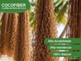 Cocofiber Artesanal Imagem Cocofiber Artesanal