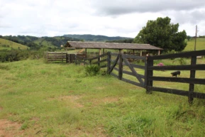 Sítio de 6 hectares - Serra da Canastra para Agricultura ou Pecuária