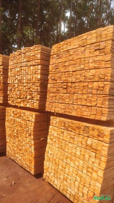 Madeira serrada de Eucalipto para pallets e embalagens Imagem Madeira serrada de Eucalipto para pallets e embalagens