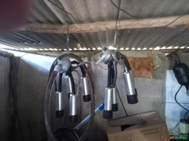 Ordenhadeira mecânica completa - Delaval (ordenhadeira mecânica) com 4 conjuntos Imagem Ordenhadeira mecânica completa - Delaval (ordenhadeira mecânica) com 4 conjuntos