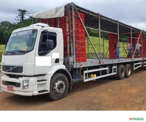 CARROCERIA TRUCK DE TRANSPORTE AVES VIVAS/FRANGO TRIEL-HT