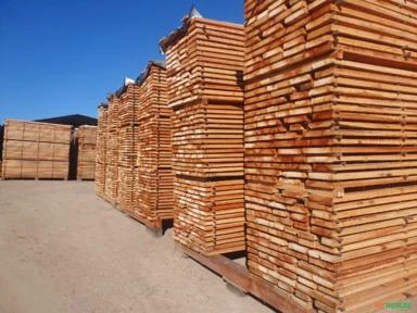 Eucalipto Serrado Imagem Eucalipto Serrado