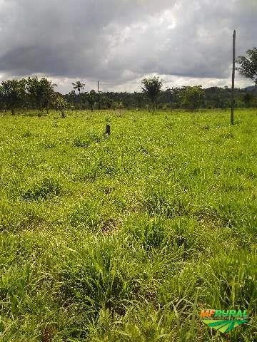 Fazenda em São Felix do Xingu