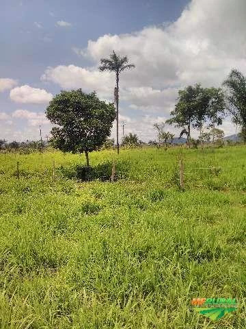 Fazenda em São Felix do Xingu