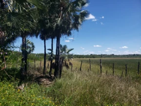 Fazenda 171,8 Hectares