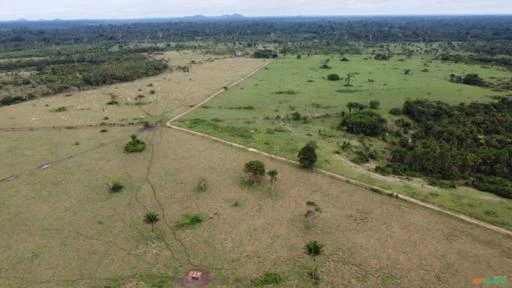 Fazenda a Venda em Roraima