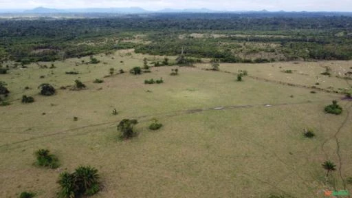 Fazenda a Venda em Roraima