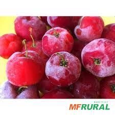 ACEROLA FRUTA CONGELADO PCT 1,02KG Imagem ACEROLA FRUTA CONGELADO PCT 1,02KG