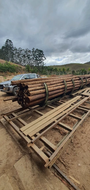 Eucalipto tratado - poste de cerca, engradamento pra telhado, postes de vários tamanhos Imagem Eucalipto tratado - poste de cerca, engradamento pra telhado, postes de vários tamanhos