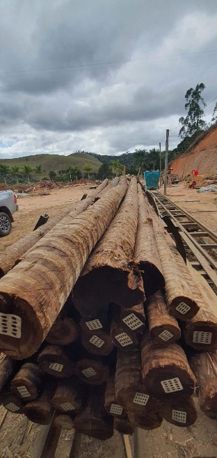 Imagem Eucalipto tratado - poste de cerca, engradamento pra telhado, postes de vários tamanhos Imagem Eucalipto tratado - poste de cerca, engradamento pra telhado, postes de vários tamanhos