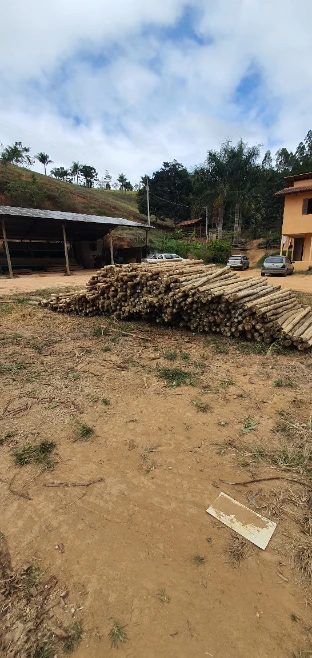 Imagem Eucalipto tratado - poste de cerca, engradamento pra telhado, postes de vários tamanhos Imagem Eucalipto tratado - poste de cerca, engradamento pra telhado, postes de vários tamanhos