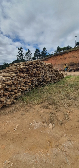 Imagem Eucalipto tratado - poste de cerca, engradamento pra telhado, postes de vários tamanhos Imagem Eucalipto tratado - poste de cerca, engradamento pra telhado, postes de vários tamanhos