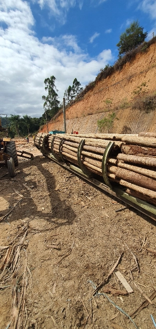 Imagem Eucalipto tratado - poste de cerca, engradamento pra telhado, postes de vários tamanhos Imagem Eucalipto tratado - poste de cerca, engradamento pra telhado, postes de vários tamanhos