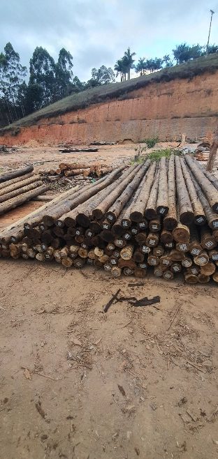 Imagem Eucalipto tratado - poste de cerca, engradamento pra telhado, postes de vários tamanhos Imagem Eucalipto tratado - poste de cerca, engradamento pra telhado, postes de vários tamanhos