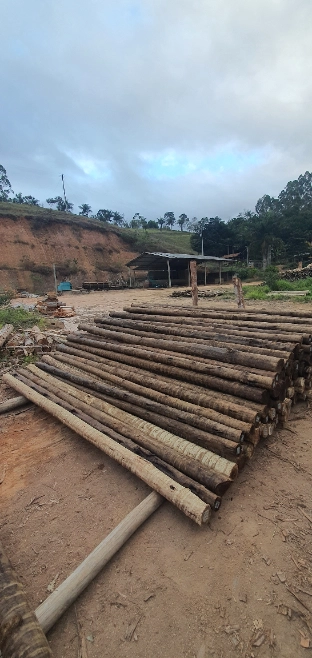Imagem Eucalipto tratado - poste de cerca, engradamento pra telhado, postes de vários tamanhos Imagem Eucalipto tratado - poste de cerca, engradamento pra telhado, postes de vários tamanhos