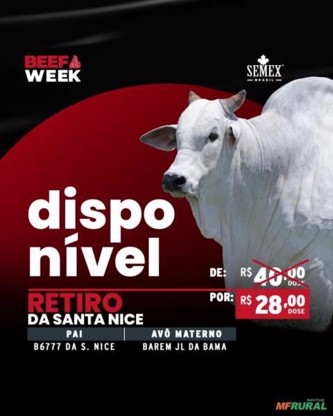 Representante da Semex Imagem Representante da Semex