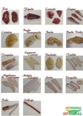 COMPRO MIÚDOS BOVINOS, SUÍNOS , OVINOS. COMPRO MIÚDOS BOVINOS, SUÍNOS , OVINOS.