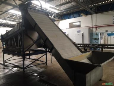 Classificadora de Camarão FISHER Imagem Classificadora de Camarão FISHER