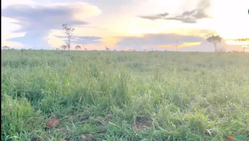 Fazenda no Tocantins