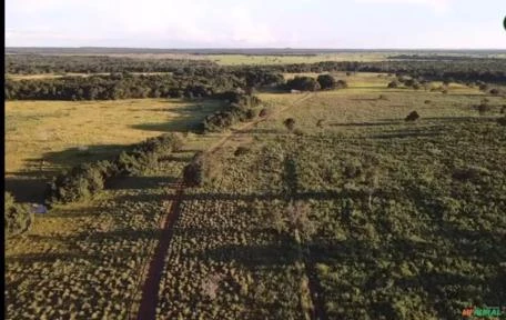 Fazenda no Tocantins