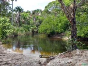 Fazenda para Agricultura ou Turismo em Santo Amaro - MA