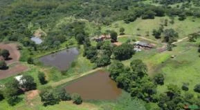 Fazenda com 31 Alqueires no Município de  Hidrolândia estado de Goiás