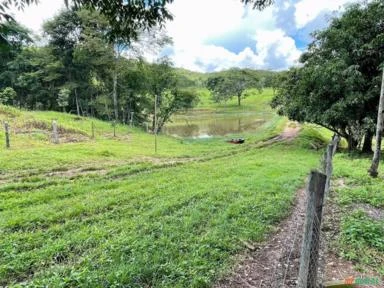 Fazenda com 31 Alqueires no Município de  Hidrolândia estado de Goiás
