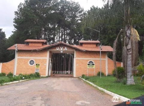 Casa de Campo  - Clube da Uva em Andradas - MG