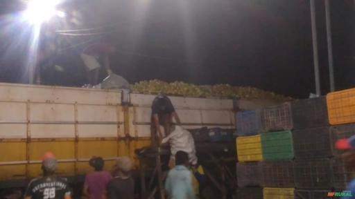 Polpa de Maracujá Imagem Polpa de Maracujá