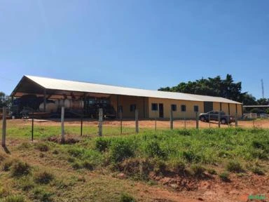 Fazenda de  310h em Getulina (SP)