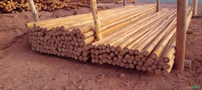 Venda de Eucalipto tratado - direto do produtor Imagem Venda de Eucalipto tratado - direto do produtor