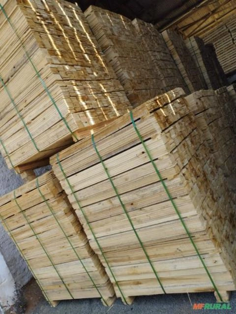 Madeira Pré-Cortada de Eucalipto Imagem Madeira Pré-Cortada de Eucalipto