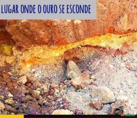 Vendo ouro Imagem Vendo ouro