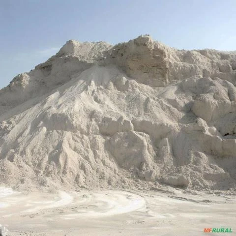 TERRA DIATOMACEA NATURAL Imagem TERRA DIATOMACEA NATURAL