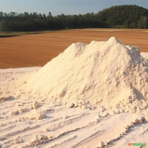 Imagem TERRA DIATOMACEA NATURAL Imagem TERRA DIATOMACEA NATURAL