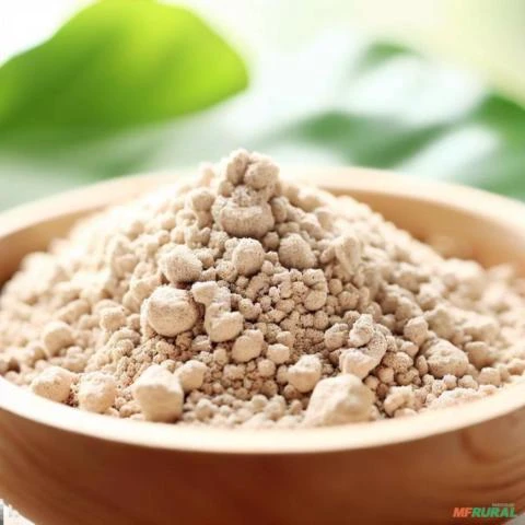 Imagem TERRA DIATOMACEA NATURAL Imagem TERRA DIATOMACEA NATURAL