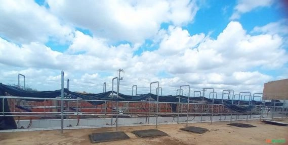 Ordenha Mecânica COMPLETA - 12 contenções - Fila Indiana Imagem Ordenha Mecânica COMPLETA - 12 contenções - Fila Indiana