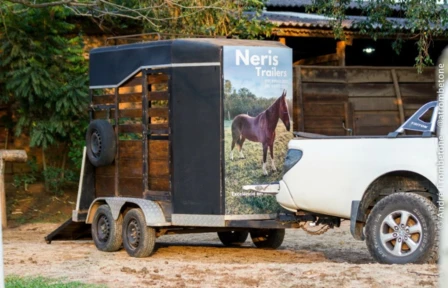 Aluguel de trailers para cavalos