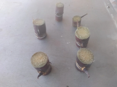 Imagem Muda De Cana Caiana Roxa e Amarela Imagem Muda De Cana Caiana Roxa e Amarela