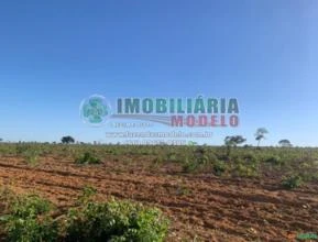 Fazenda em Bom Jesus do Araguaia - MT 271,00 HECTARES