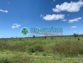 Fazenda em Santana do Araguaia - PA 1.435 HECTARES