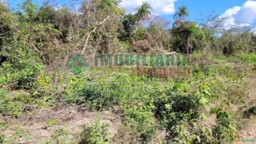 Fazenda em Grajaú - MA 1.500 HECTARES