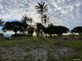 Fazenda no sul da Bahia