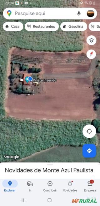 Procuro sócio para investimento agricola, hortaliças, ou outros... Imagem Procuro sócio para investimento agricola, hortaliças, ou outros...