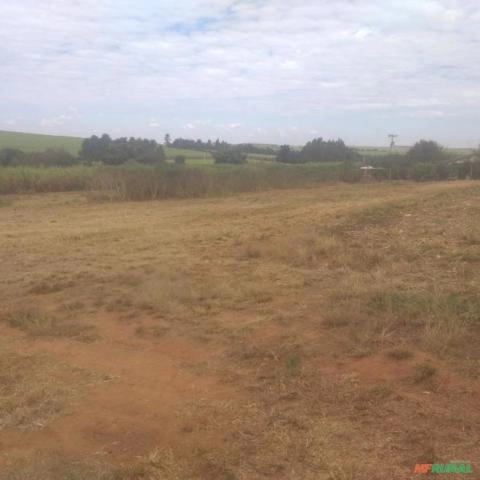 Imagem Procuro sócio para investimento agricola, hortaliças, ou outros... Imagem Procuro sócio para investimento agricola, hortaliças, ou outros...