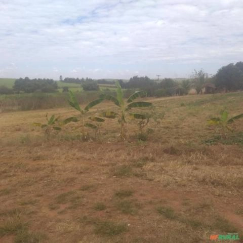 Imagem Procuro sócio para investimento agricola, hortaliças, ou outros... Imagem Procuro sócio para investimento agricola, hortaliças, ou outros...