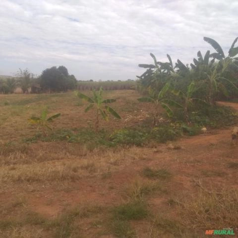 Imagem Procuro sócio para investimento agricola, hortaliças, ou outros... Imagem Procuro sócio para investimento agricola, hortaliças, ou outros...