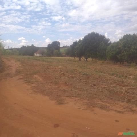 Imagem Procuro sócio para investimento agricola, hortaliças, ou outros... Imagem Procuro sócio para investimento agricola, hortaliças, ou outros...