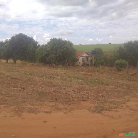 Imagem Procuro sócio para investimento agricola, hortaliças, ou outros... Imagem Procuro sócio para investimento agricola, hortaliças, ou outros...