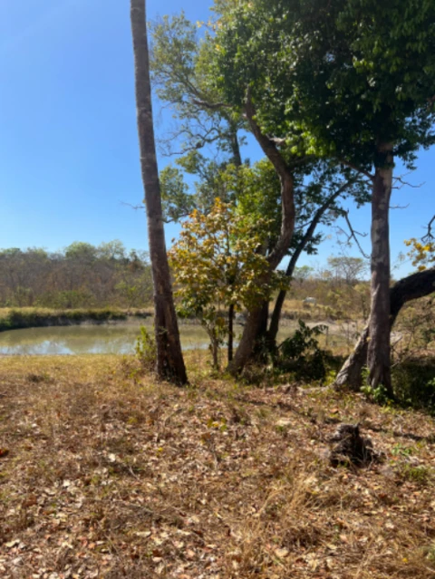 Chácara  em Almas Tocantins-